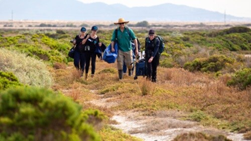 Blue Carbon wetlands