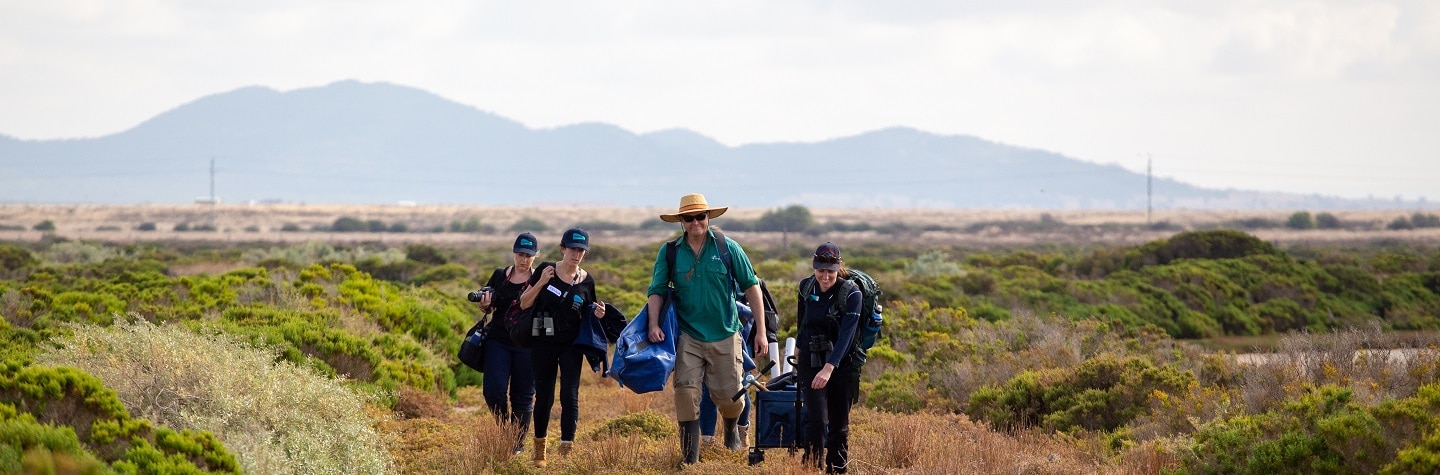 People walking in bushland