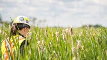 Potash 2021