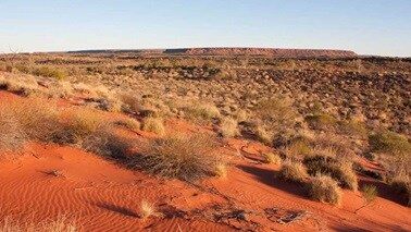 Desert landscape