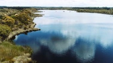 environmental image of a lake 