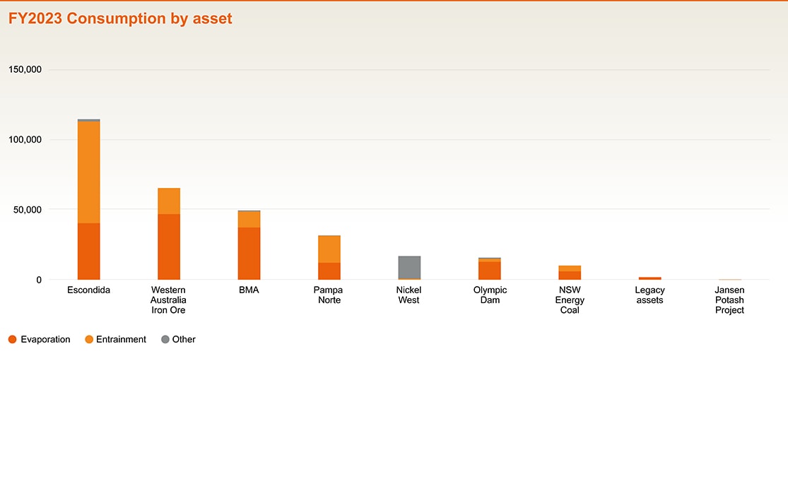 FY2023 consumption by asset