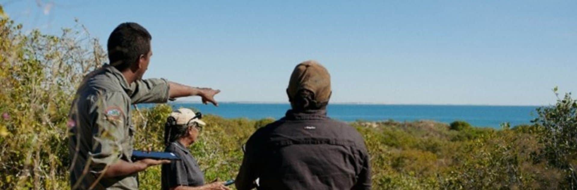 251110_FY25 Australian Indigenous SI Report